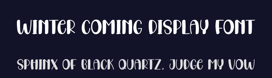Winter Coming Display Font by andikastudio — Display Font — thumbnail 2