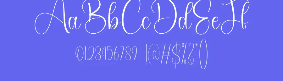 Winter Designer Script Font by andikastudio — Script Handwritten Font — thumbnail 3