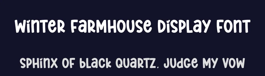 Winter Farmhouse Display Font by creativeletter — Display Font — thumbnail 2