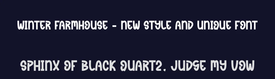 Winter Farmhouse – New Style And Unique Font by creativeletter — Display Font — thumbnail 2