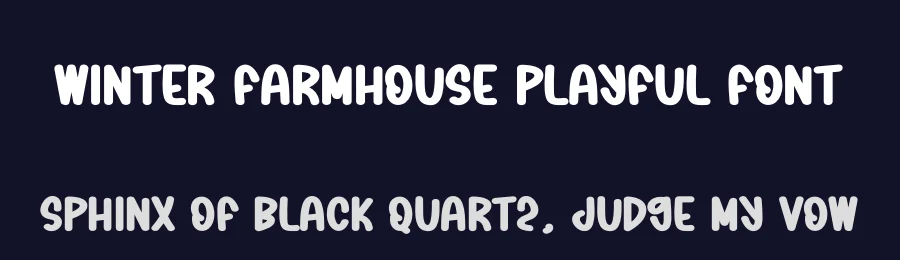 Winter Farmhouse Playful Font by creativeletter — Display Font — thumbnail 2