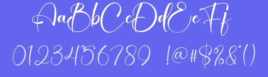 Winter Fest Calligraphy Font by creativeletter — Script Handwritten Font — thumbnail 3