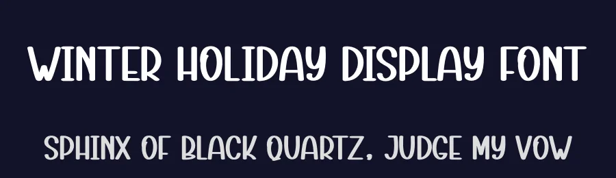 Winter Holiday Display Font by andikastudio — Display Font — thumbnail 2