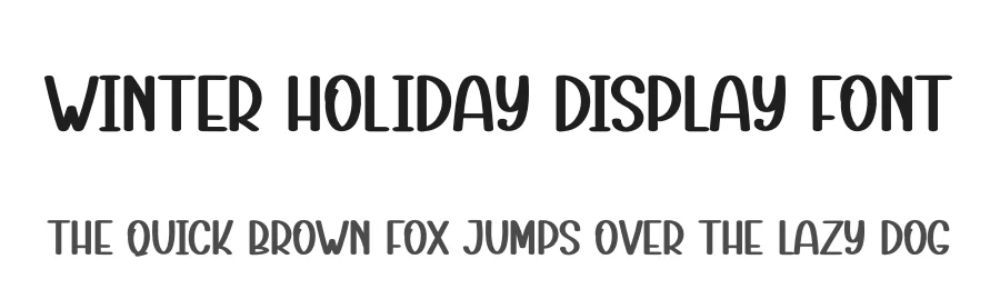 Winter Holiday Display Font by andikastudio — Display Font