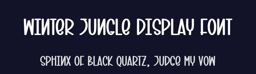 Winter Jungle Display Font by creativeletter — Display Font — thumbnail 2