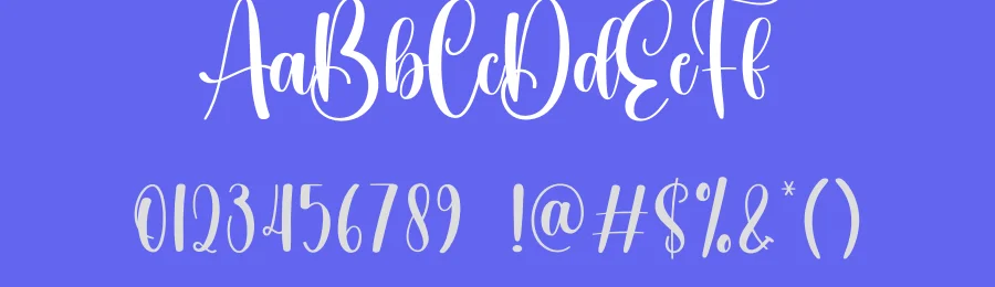 Winter Lightning Script Font by creativeletter — Script Handwritten Font — thumbnail 3