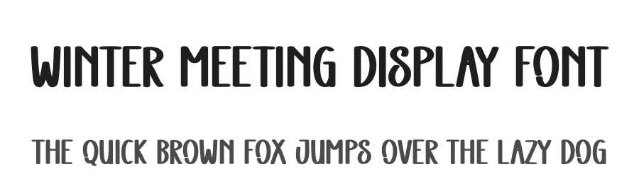 Winter Meeting Display Font by andikastudio — Display Font