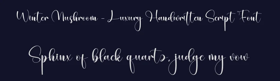 Winter Mushroom – Luxury Handwritten Script Font by creativeletter — Script Handwritten Font — thumbnail 2