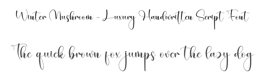 Winter Mushroom – Luxury Handwritten Script Font by creativeletter — Script Handwritten Font