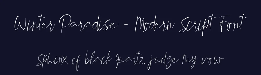 Winter Paradise – Modern Script Font by wellscriptstudio — Script Handwritten Font — thumbnail 2