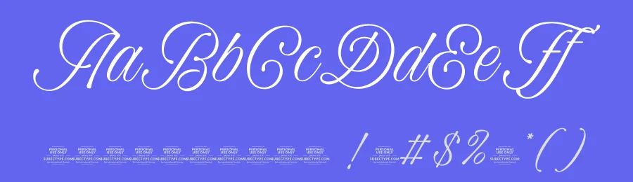 Winter Rhapsody Font by Subectype Studio — Script Handwritten Font — thumbnail 3
