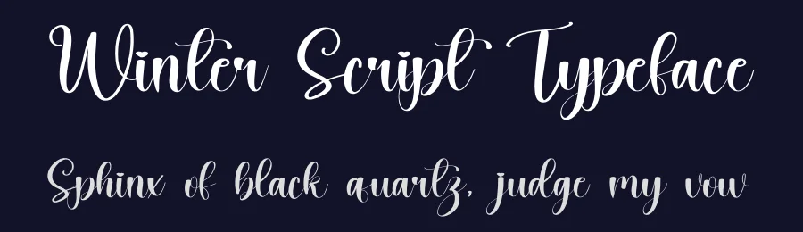 Winter Script Typeface by inermediaSTUDIO — Script Handwritten Font — thumbnail 2