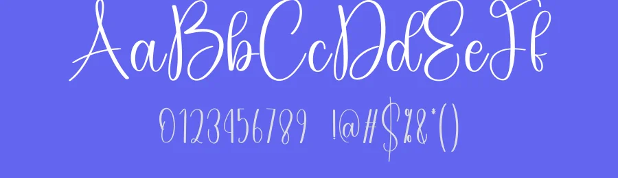 Winter Sunflower – Stylish Handwritten Script Font by creativeletter — Script Handwritten Font — thumbnail 3