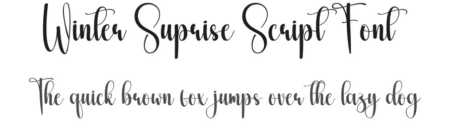 Winter Suprise Script Font by andikastudio — Script Handwritten Font