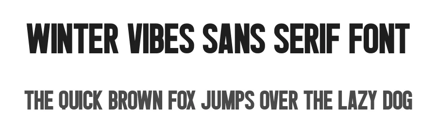 Winter Vibes Sans Serif Font by Craftedtype — Decorative Font