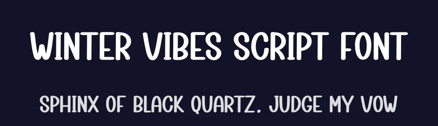 Winter Vibes Script Font by creativeletter — Display Font — thumbnail 2