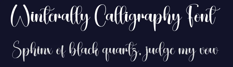 Winterally Calligraphy Font by creativeletter — Script Handwritten Font — thumbnail 2
