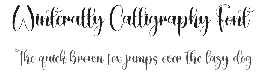Winterally Calligraphy Font by creativeletter — Script Handwritten Font