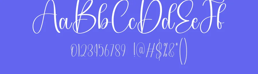 Winterday Calligraphy Script Font by creativeletter — Script Handwritten Font — thumbnail 3