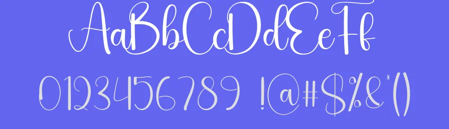 Winterday Script Font by andikastudio — Script Handwritten Font — thumbnail 3