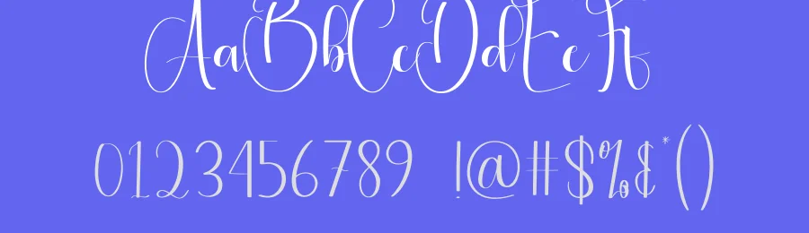 Winterday Script Font by andikastudio — Script Handwritten Font — thumbnail 3