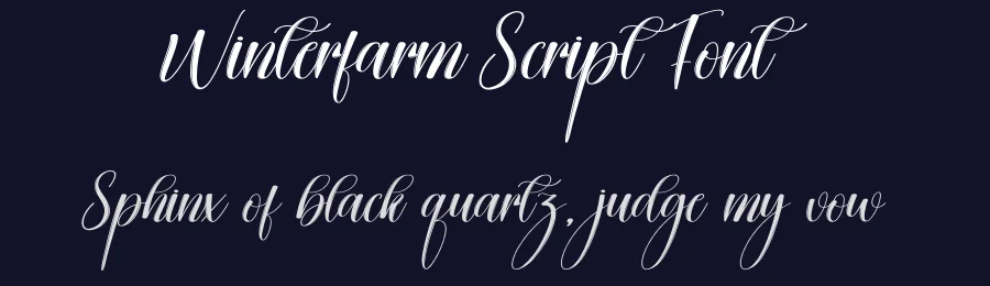 Winterfarm Script Font by creativeletter — Script Handwritten Font — thumbnail 2