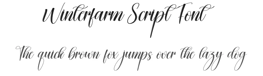 Winterfarm Script Font by creativeletter — Script Handwritten Font