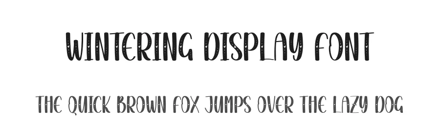 Wintering Display Font by andikastudio — Display Font