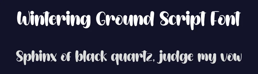 Wintering Ground Script Font by creativeletter — Display Font — thumbnail 2