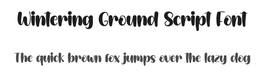 Wintering Ground Script Font by creativeletter — Display Font