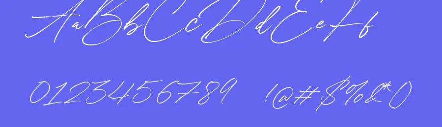 Winterlady Beautiful Script Font by balpirick — Script Handwritten Font — thumbnail 3