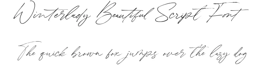 Winterlady Beautiful Script Font by balpirick — Script Handwritten Font