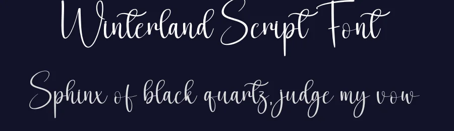 Winterland Script Font by andikastudio — Script Handwritten Font — thumbnail 2