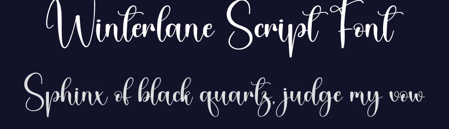 Winterlane Script Font by andikastudio — Script Handwritten Font — thumbnail 2
