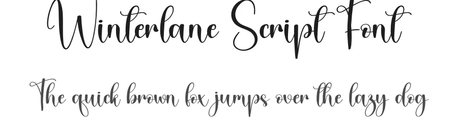 Winterlane Script Font by andikastudio — Script Handwritten Font