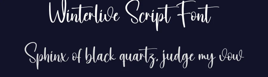 Winterlive Script Font by creativeletter — Script Handwritten Font — thumbnail 2