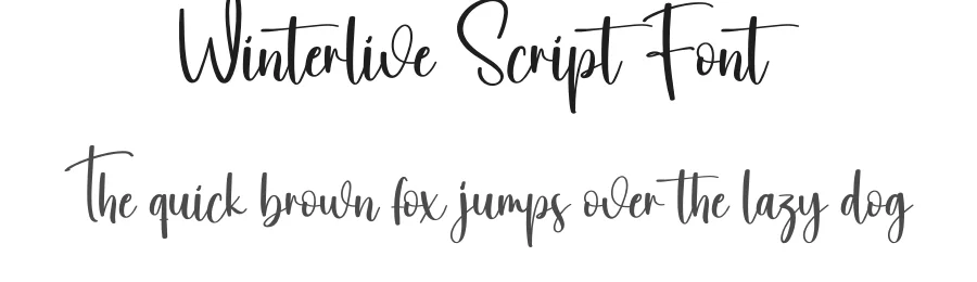 Winterlive Script Font by creativeletter — Script Handwritten Font
