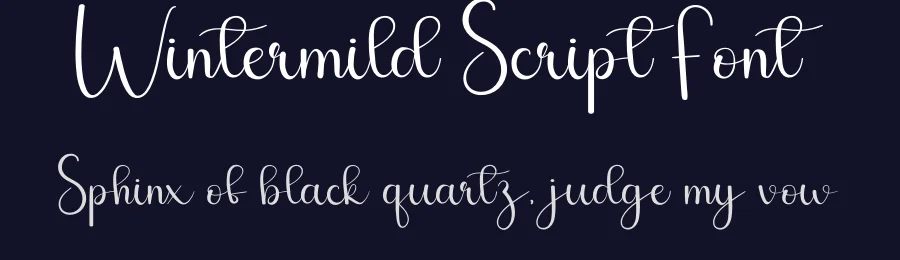 Wintermild Script Font by andikastudio — Script Handwritten Font — thumbnail 2