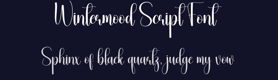 Wintermood Script Font by creativeletter — Script Handwritten Font — thumbnail 2