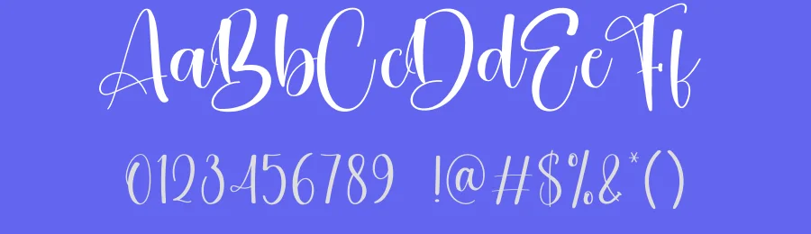 Winternight – Modern Script Handwritten Font by creativeletter — Script Handwritten Font — thumbnail 3