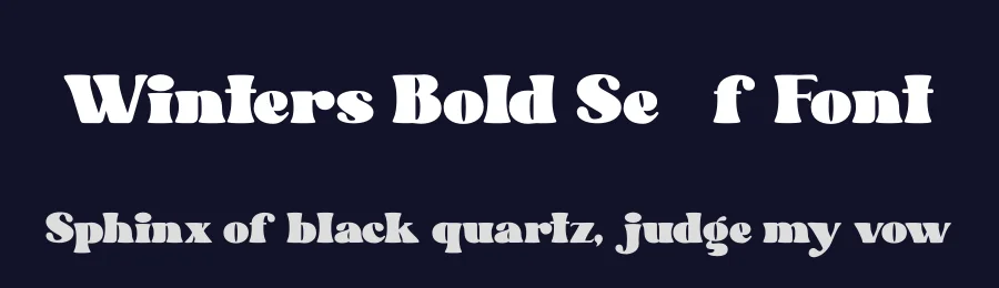 Winters Bold Serif Font by Absonstype — Display Font — thumbnail 2
