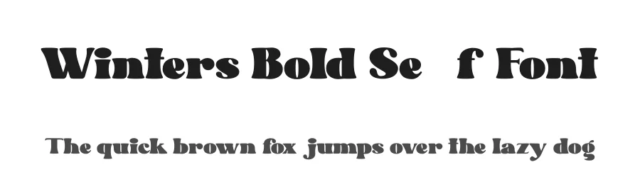 Winters Bold Serif Font by Absonstype — Display Font