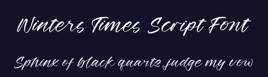 Winters Times Script Font by stylishtype.co — Script Handwritten Font — thumbnail 2
