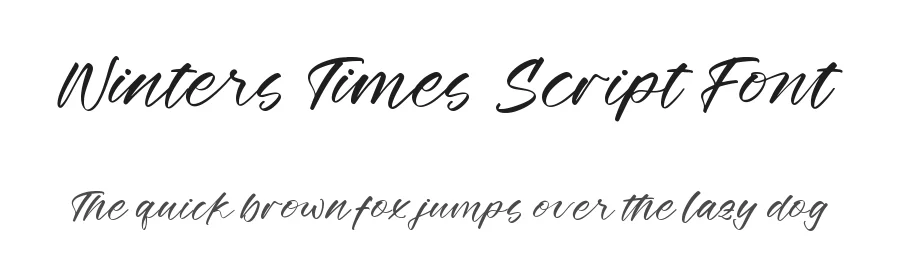 Winters Times Script Font by stylishtype.co — Script Handwritten Font