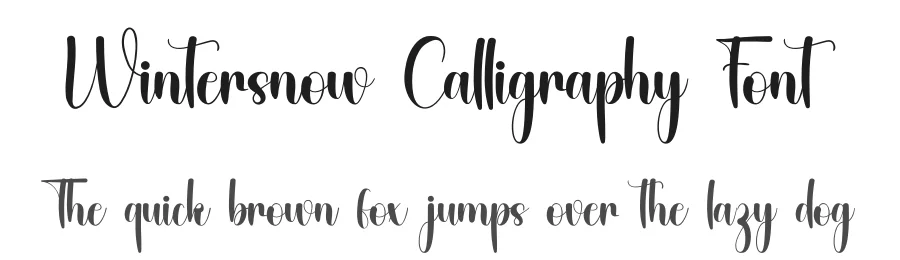 Wintersnow Calligraphy Font by inermediaSTUDIO — Script Handwritten Font