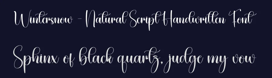 Wintersnow – Natural Script Handwritten Font by creativeletter — Script Handwritten Font — thumbnail 2