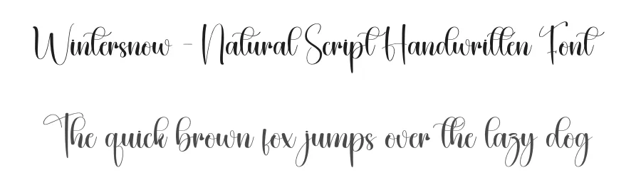 Wintersnow – Natural Script Handwritten Font by creativeletter — Script Handwritten Font
