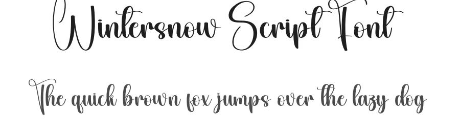 Wintersnow Script Font by andikastudio — Script Handwritten Font