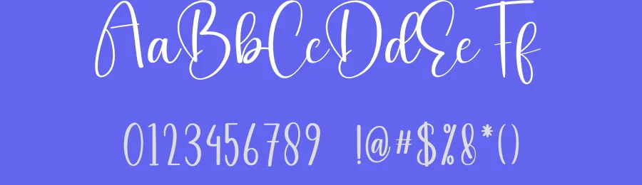 Wiskey Calligraphy Script Font by creativeletter — Script Handwritten Font — thumbnail 3