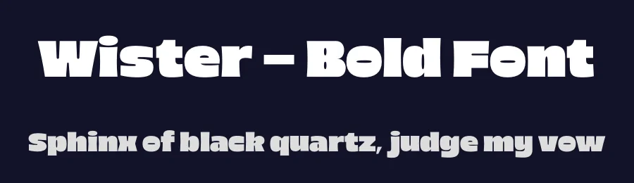 Wister – Bold Font by limitype — Display Font — thumbnail 2